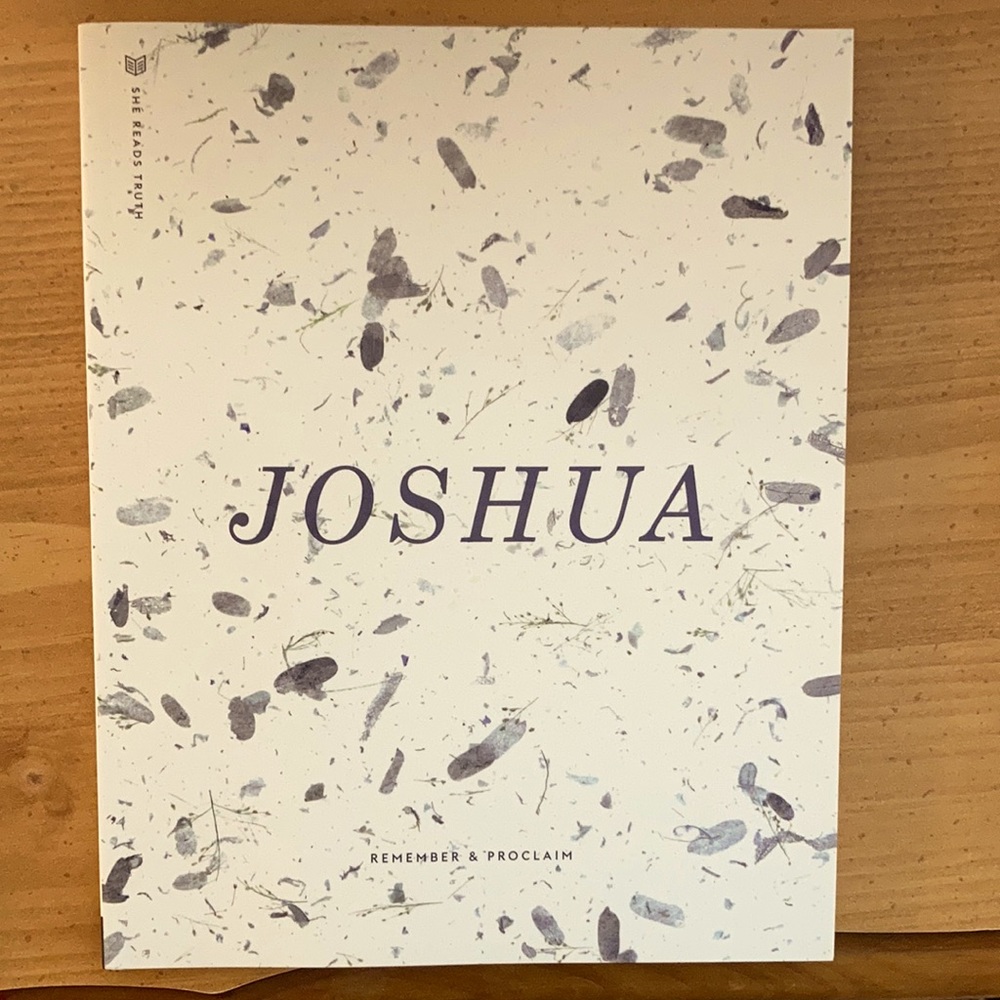 She Reads Truth Study Guide: Joshua